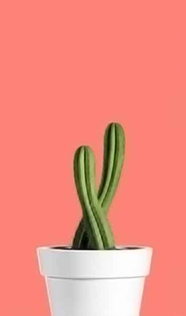 安全防护全面的电话号码轰炸app